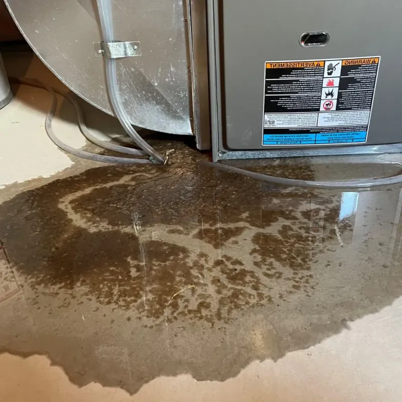 Pipe Burst and Leak Restoration in Pierceton, IN