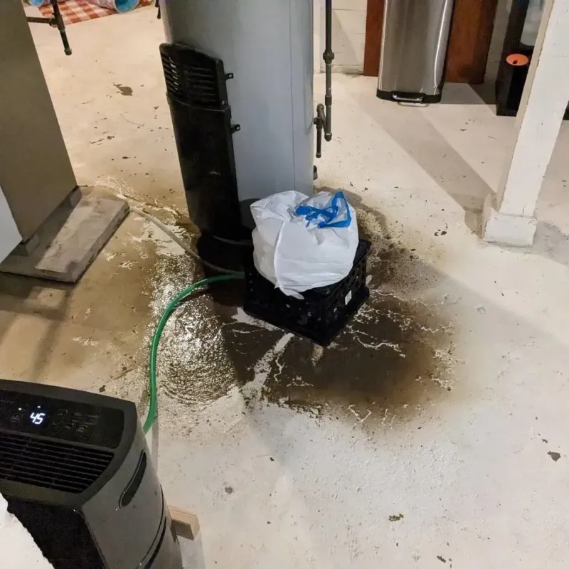 Sewage Backup Cleanup Service in Pierceton, IN